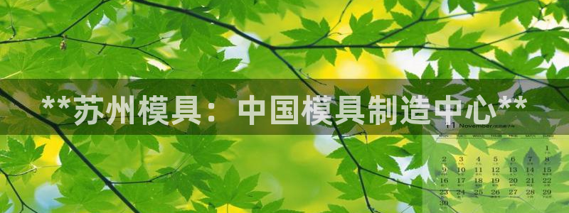 太阳集团网投：**苏州模具：中国模具制造中心**