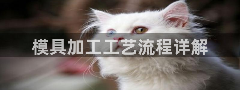 太阳老板是谁