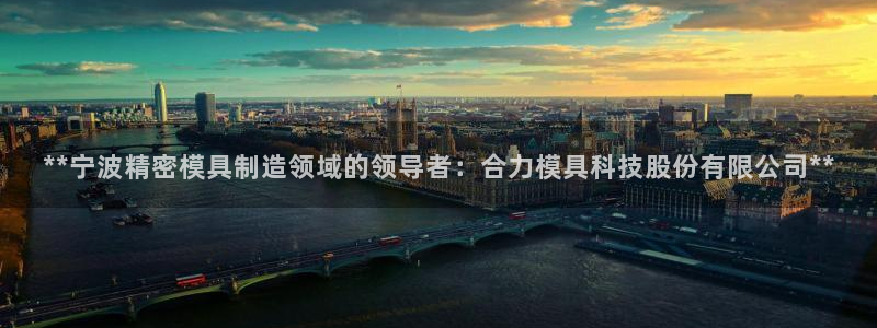 太阳集团游戏城1382：**宁波精密模具制造领域的领导者：合力模具科技股份有限公司**