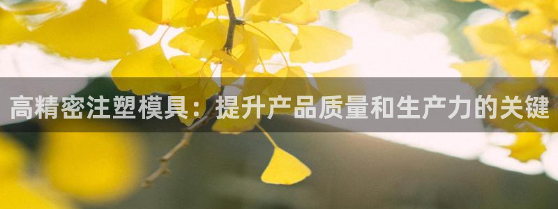 1593太阳集团城所有网址：高精密注塑模具：提升产品质量和生产力的关键
