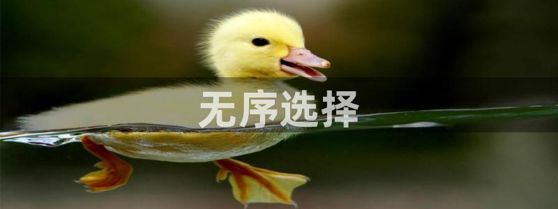太阳集团电子游戏不朽的浪漫视频：无序选择