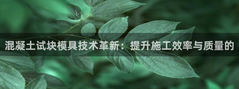 太阳集团下载链接怎么下载：混凝土试块模具技术革新：提升施工效率与质量的