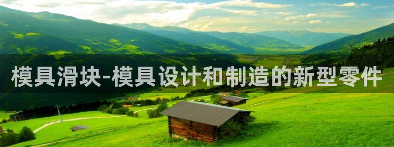 太阳成集团tyc33455cc：模具滑块-模具设计和制造的新型零件