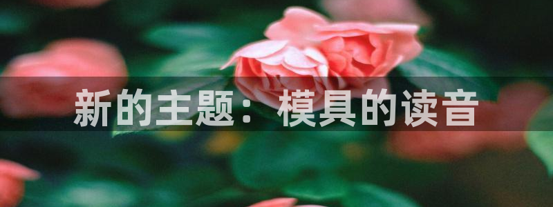 太阳诚集团有限公司