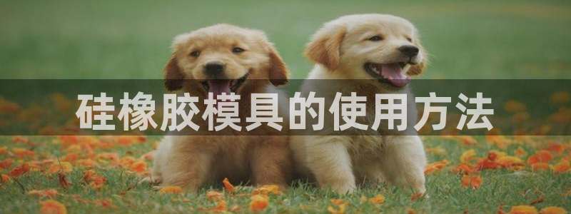 太阳gg登录：硅橡胶模具的使用方法