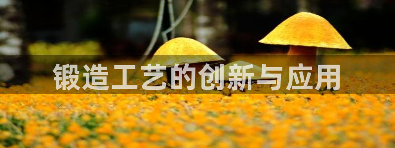 太阳集团唯一老品牌：锻造工艺的创新与应用