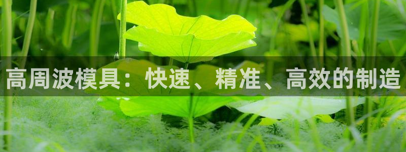 15vip太阳集团登录：高周波模具：快速、精准、高效的制造