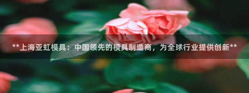 太阳集团城2017网站：**上海亚虹模具：中国领先的模具制造商，为全球行业提供创新**