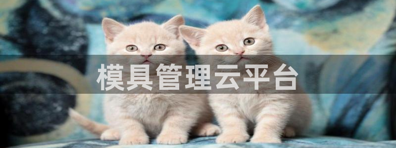 太阳集团电视剧：模具管理云平台