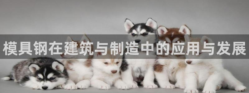太阳诚集团有限公司是国企吗：模具钢在建筑与制造中的应用与发展