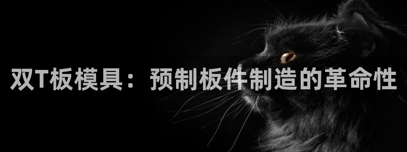 太阳成集团tyc33455cc：双T板模具：预制板件制造的革命性