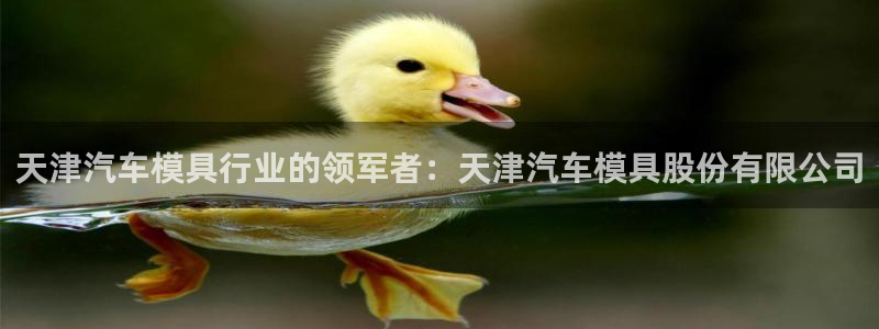 suncitygroup太阳集团：天津汽车模具行业的领军者：天津汽车模具股份有限公司
