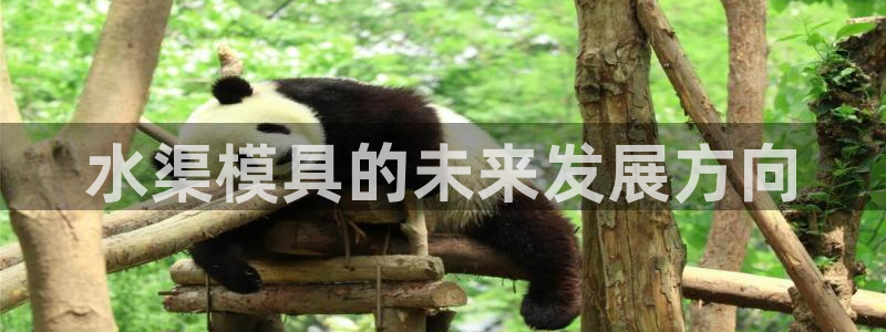 太阳股份有限公司：水渠模具的未来发展方向