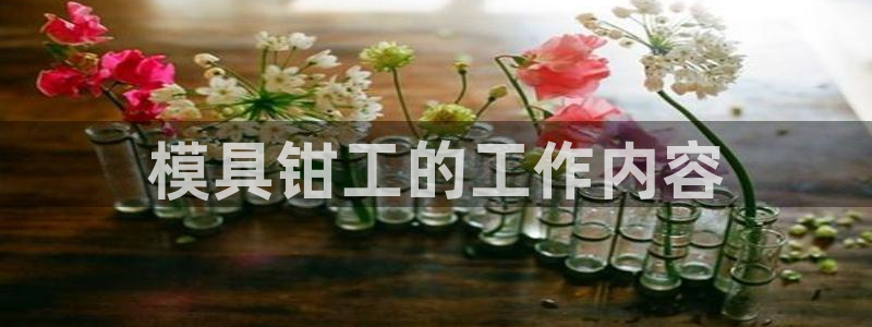 太阳成集团的官方网站：模具钳工的工作内容
