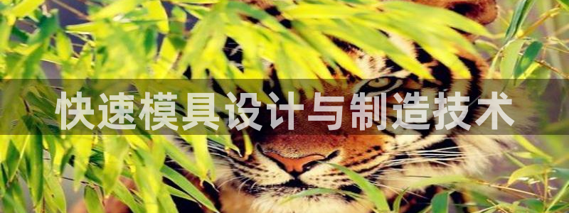 太阳集团在国内三个分公司
