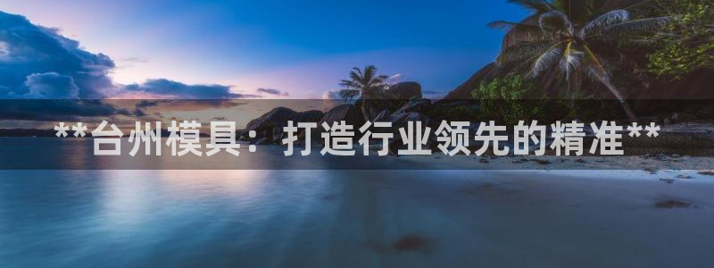 太阳董事长：**台州模具：打造行业领先的精准**