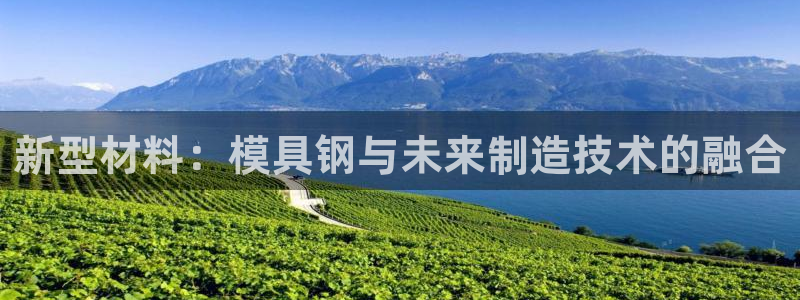 太阳集团2021备用网址：新型材料：模具钢与未来制造技术的融合