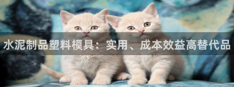 太阳集团董事长是谁照片：水泥制品塑料模具：实用、成本效益高替代品