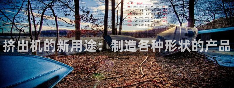 太阳gg娱选_2o5o26：挤出机的新用途：制造各种形状的产品