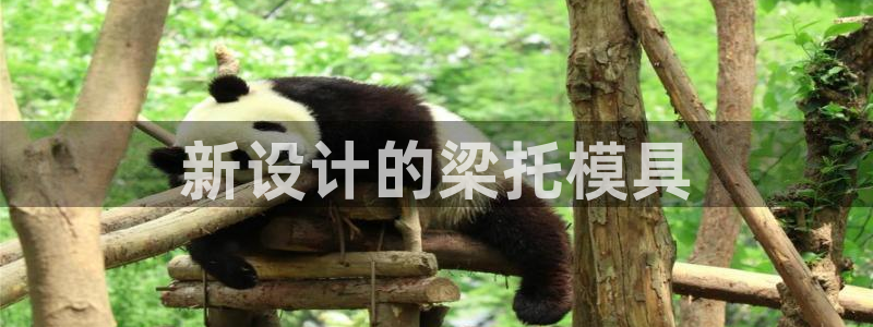 suncitygroup太阳集团：新设计的梁托模具