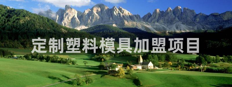 太阳app免费下载官方网站：定制塑料模具加盟项目