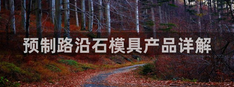 太阳集团旗下品牌：预制路沿石模具产品详解