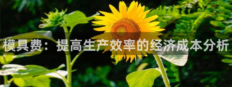 太阳成集团娱乐：模具费：提高生产效率的经济成本分析