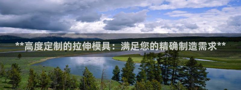 太阳gg会员登录：**高度定制的拉伸模具：满足您的精确制造需求**