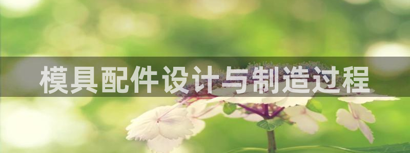 太阳集团网站古天乐：模具配件设计与制造过程