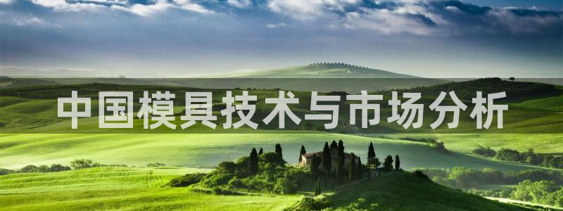 太阳集团城安卓版游戏：中国模具技术与市场分析