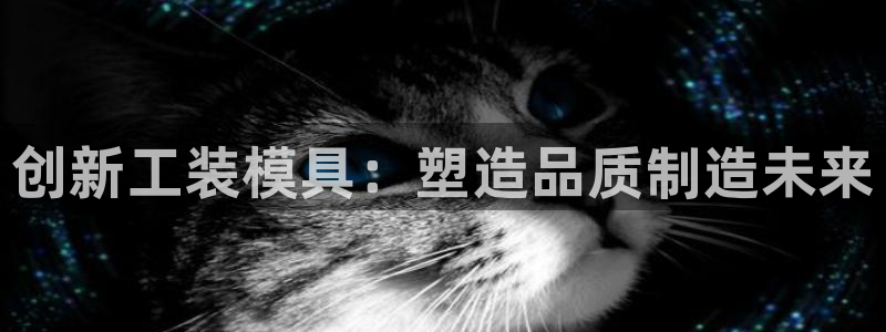 太阳成集团不能提现：创新工装模具：塑造品质制造未来