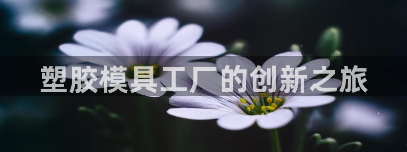 太阳集团贵宾网站：塑胶模具工厂的创新之旅