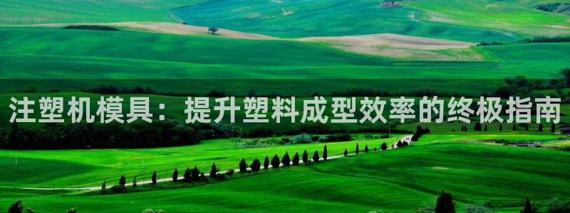 太阳集团是怎样一个公司：注塑机模具：提升塑料成型效率的终极指南