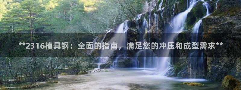 太阳集团城登录网址：**2316模具钢：全面的指南，满足您的冲压和成型需求**