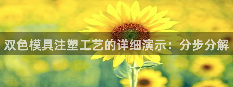 太阳2注册官网下载：双色模具注塑工艺的详细演示：分步分解