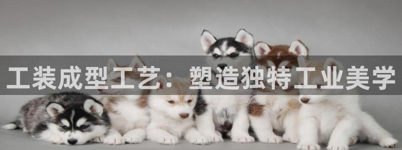 15vip太阳成集团：工装成型工艺：塑造独特工业美学