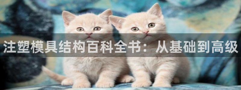 太阳集团游戏城旧版2.1.9：注塑模具结构百科全书：从基础到高级