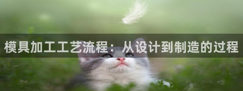 江苏太阳集团冷青松：模具加工工艺流程：从设计到制造的过程