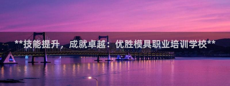 太阳阳城集团有限公司：**技能提升，成就卓越：优胜模具职业培训学校**