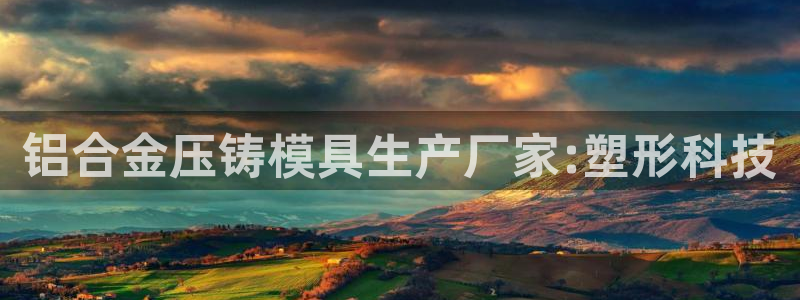 太阳gg是真的吗：铝合金压铸模具生产厂家:塑形科技