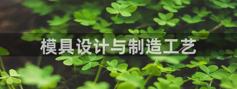 太阳集团城官网1407：模具设计与制造工艺