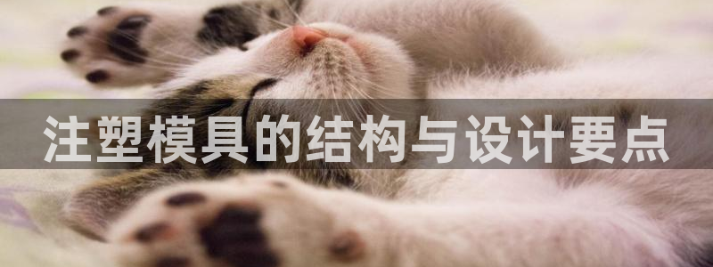 太阳集团网站入口官网下载：注塑模具的结构与设计要点