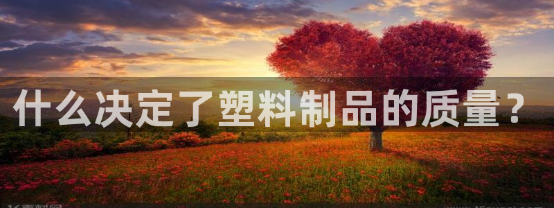 太阳成集团电影：什么决定了塑料制品的质量？