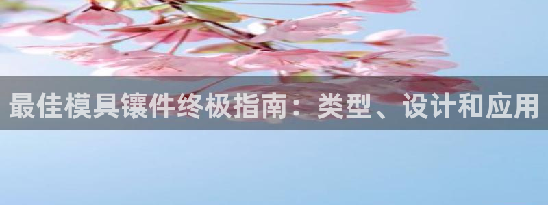 太阳游戏城app：最佳模具镶件终极指南：类型、设计和应用