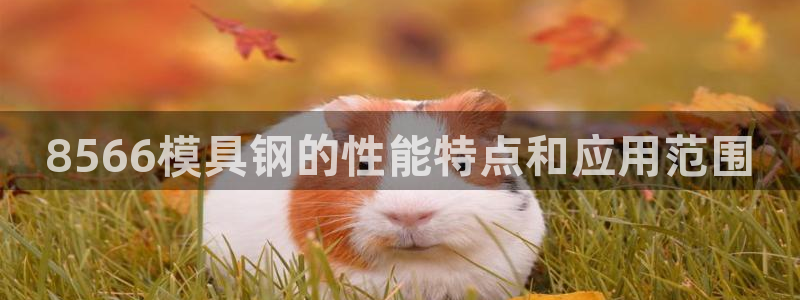 太阳集团城娱8722官方网站：8566模具钢的性能特点和应用范围
