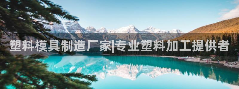 太阳集团是什么集团：塑料模具制造厂家|专业塑料加工提供者