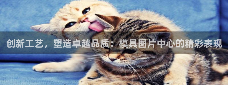 太阳集团贵宾网站：创新工艺，塑造卓越品质：模具图片中心的精彩表现