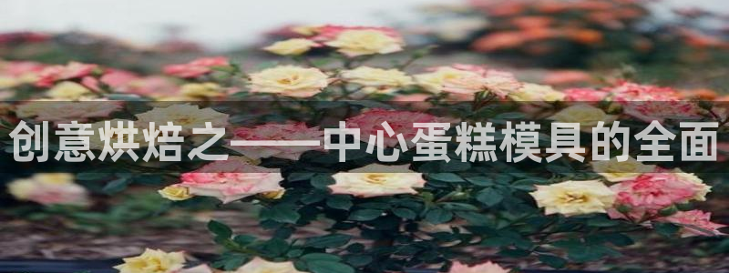 太阳集团网址：创意烘焙之——中心蛋糕模具的全面