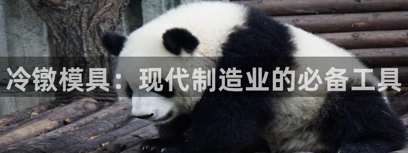 太阳集团sungroup：冷镦模具：现代制造业的必备工具