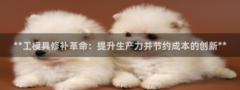 太阳成集团老板照片：**工模具修补革命：提升生产力并节约成本的创新**